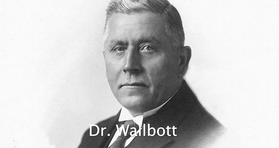 Porträt Dr. Wallbott